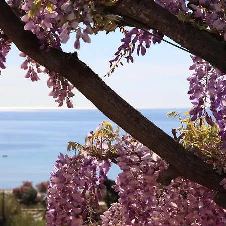 Galli - Wellness &