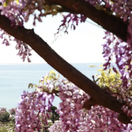 Galli - Wellness & - Parcheggio Gratuito