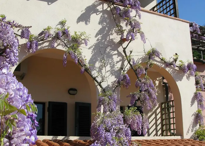 Galli - Wellness & 호텔